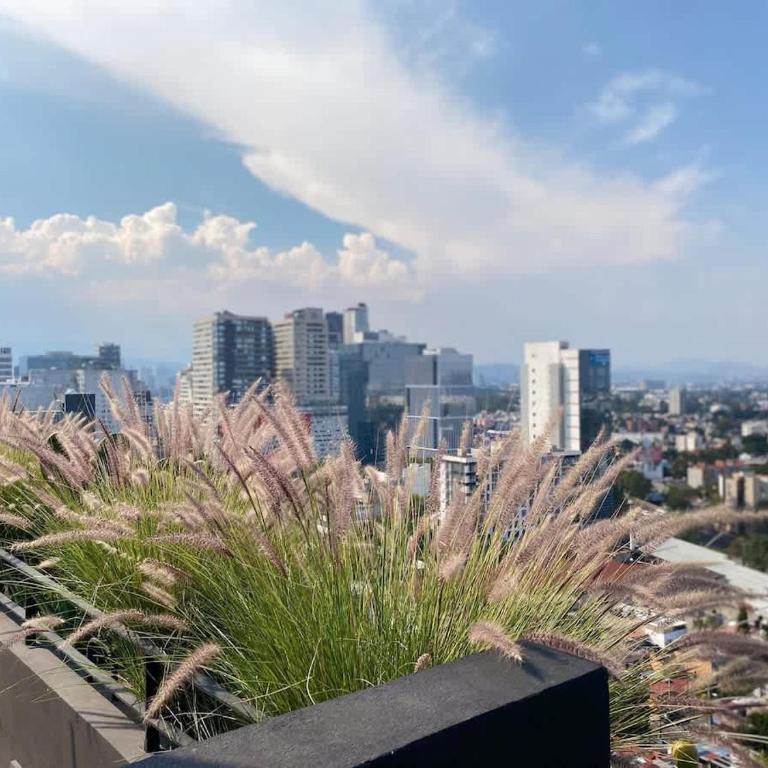 Luxury High-Rise Panoramic Apartment, Polanco 3BD - Apartamento de 3 dormitorios - 69