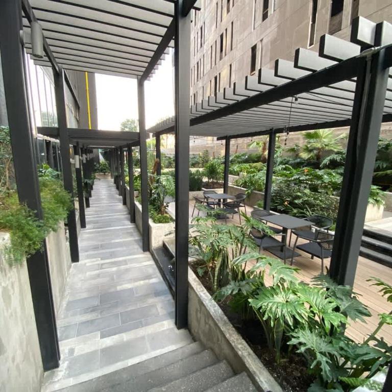 Stunning High-Rise Panoramic Apartment Polanco 3BD - Three-Bedroom Apartment - 62