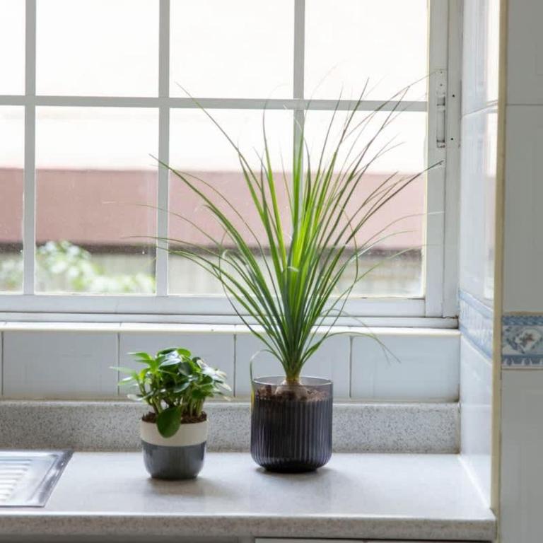 KOKU! Best location in Polanco 10 guests - Apartment - 17
