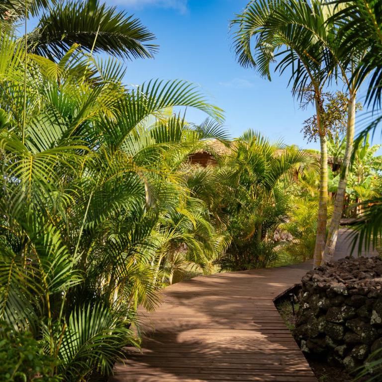Kona Koa Lodge - Deluxe Bungalow with Sea View - 2