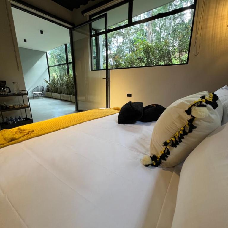 Hospedaje tranquilo cerca del aeropuerto y Medellín - Apartamento de 2 dormitorios - 13