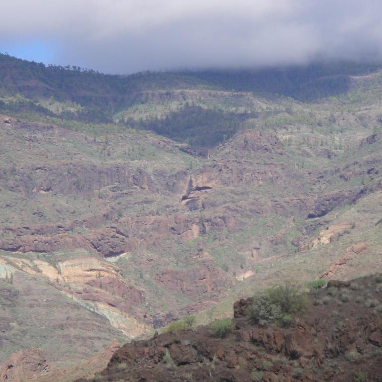 Casa El Pino - Casa - 31