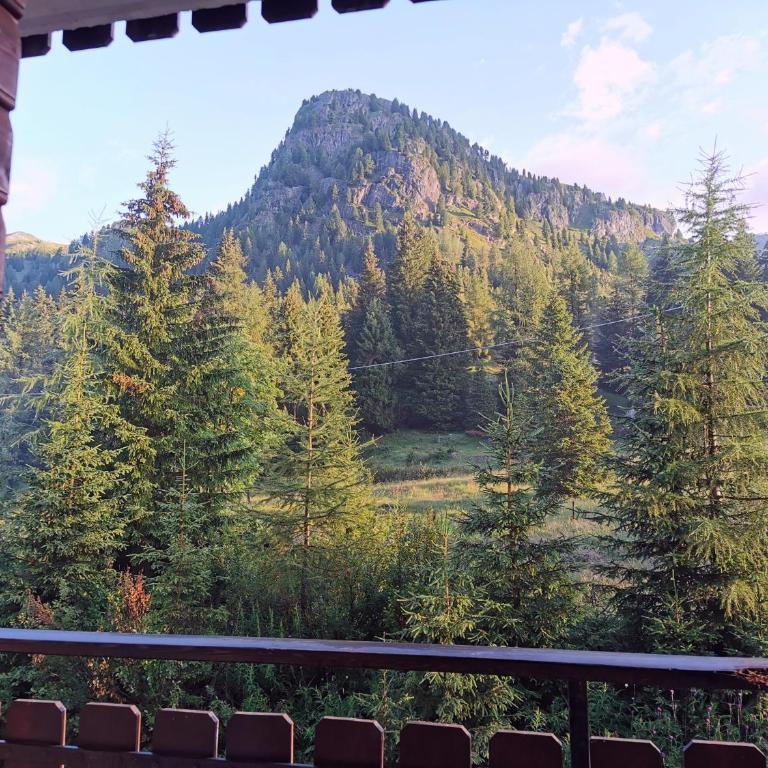 Casina Alpina trekking Passo S Pellegrino - Appartamento con 1 Camera da Letto - 5