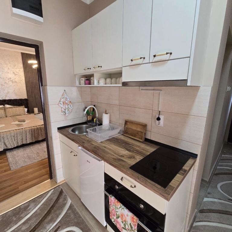 Apartman Tina - Apartman sa 1 Spavaćom Sobom - 23
