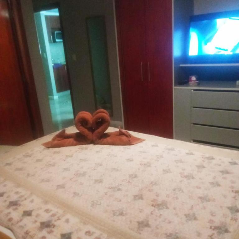 MY Home - Apartamento de 1 dormitorio - 21