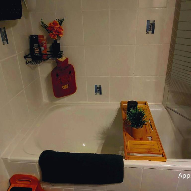 Fewo Eisvogelnest - Appartamento con 1 Camera da Letto - 12