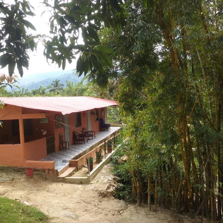 Hostel Finca La Gordita - Bungalow (9 adultos) - 20