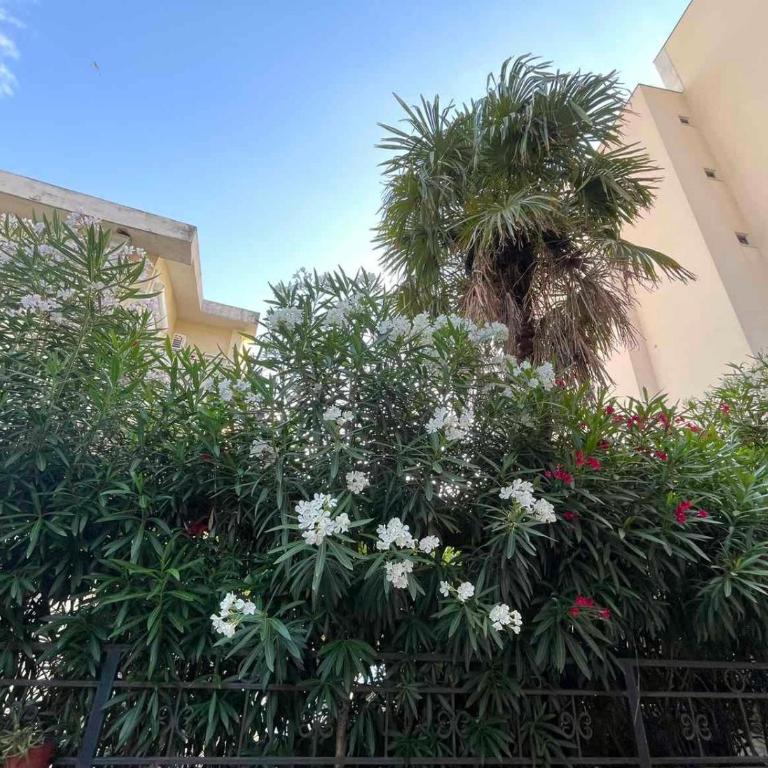 Guesthouse Tri Palme - One-Bedroom Apartment - 9