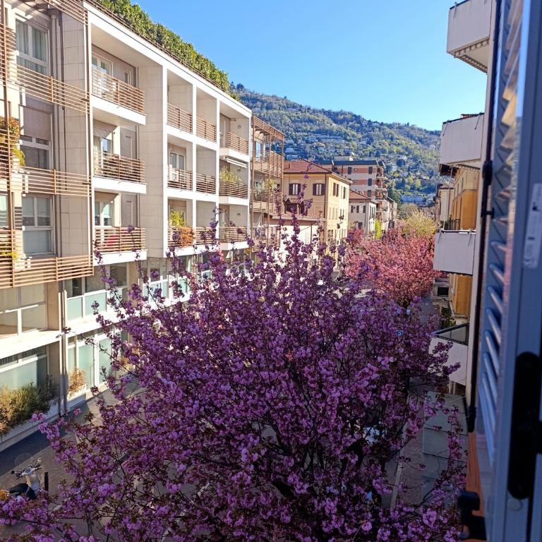 Ellis Dream - Appartamento con 1 Camera da Letto - 31