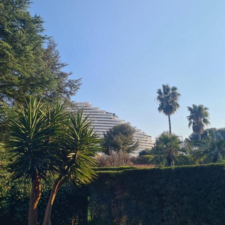 Superbe deux pièces 2 personnes - Appartamento con Vista Giardino - 10