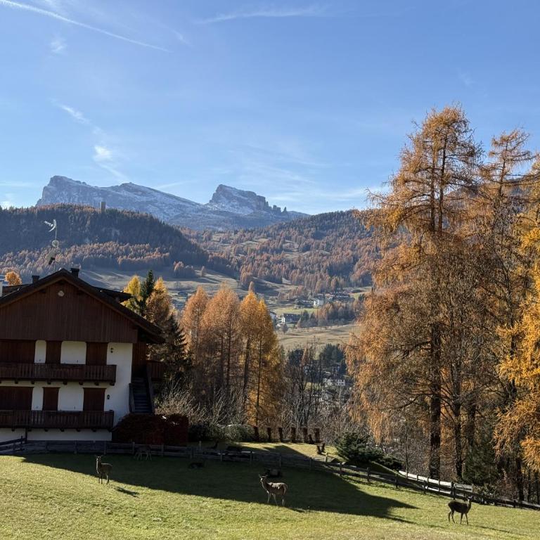 Relax e panorama a Cortina, accogliente appartamento a Pecol - Appartement en Duplex - 13