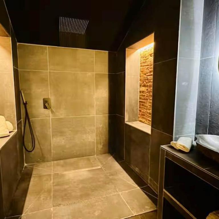 Le magik' loft avec Sauna et Spa - Appartement 1 Chambre - 5