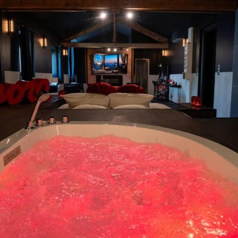 Le magik' loft avec Sauna et Spa - Appartement 1 Chambre - 8