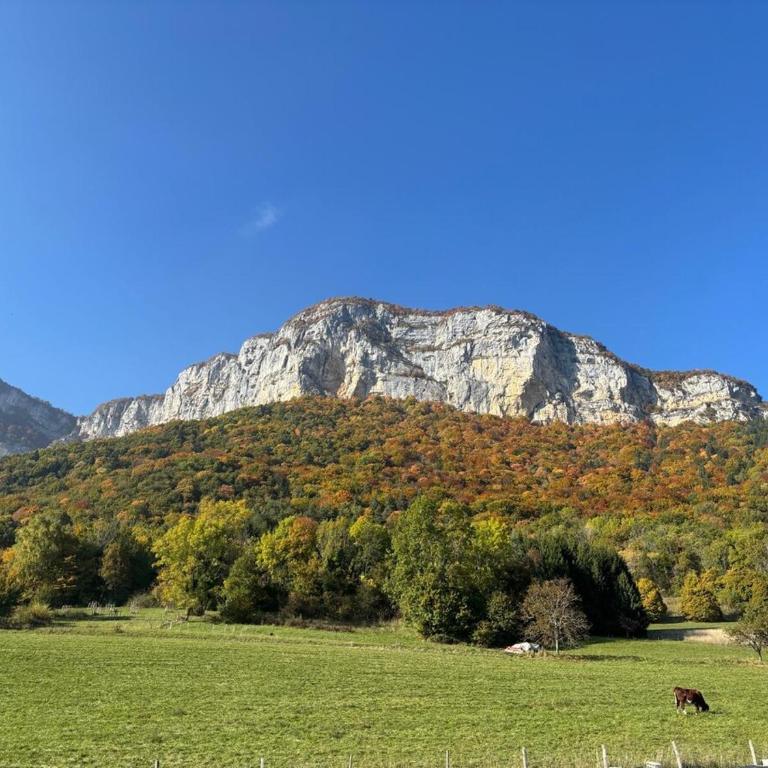 L'Orée du Peney - Villa - 10