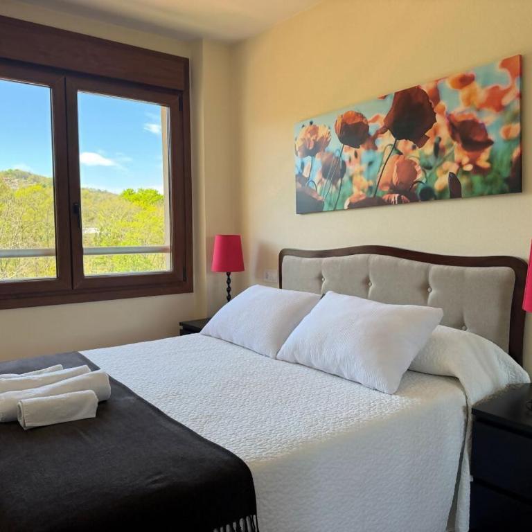 Apartamento El Abuelo en Cangas de Onís - Apartamento de 2 dormitorios - 7