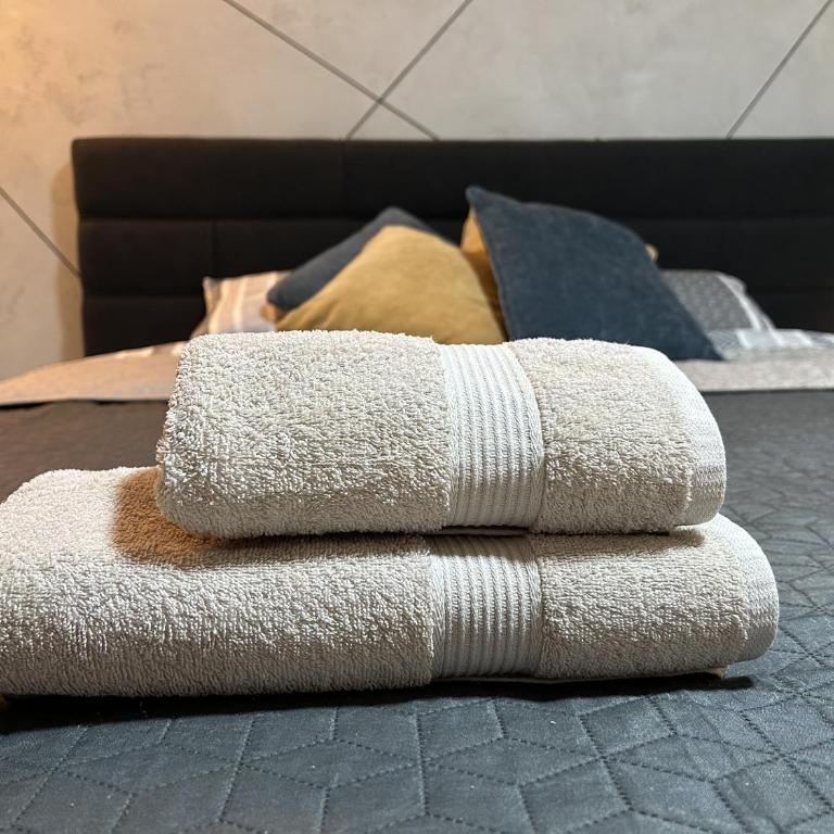 Cozy Apartments - Free Parking, WiFi & King-size Bed - Liman IV - Apartman sa 1 Spavaćom Sobom - 9