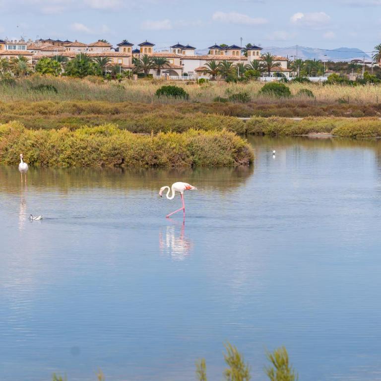 Cozy bungalow in Santa Pola close to the beach - Casa de 3 dormitorios - 24