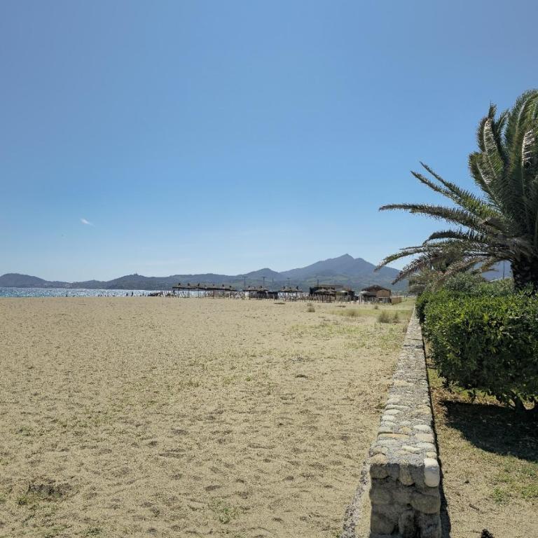 Havre de paix - Entre pins & plage à 200m - Apartamento de 1 dormitorio - 25