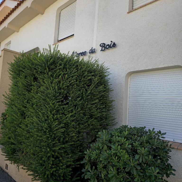 Havre de paix - Entre pins & plage à 200m - Apartamento de 1 dormitorio - 29