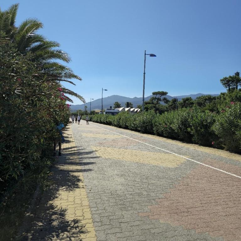 Havre de paix - Entre pins & plage à 200m - Apartamento de 1 dormitorio - 31