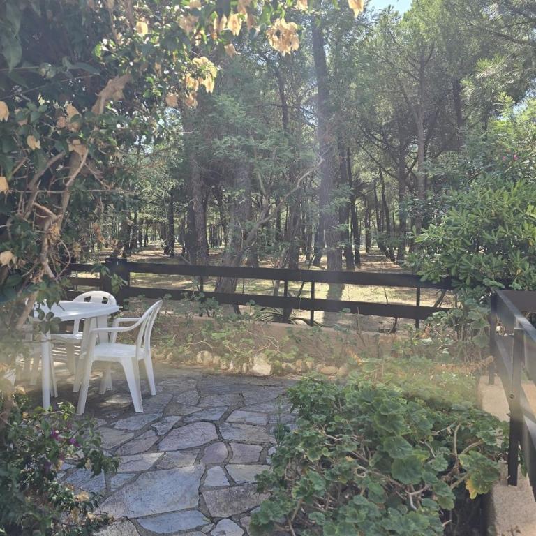 Havre de paix - Entre pins & plage à 200m - Apartamento de 1 dormitorio - 39