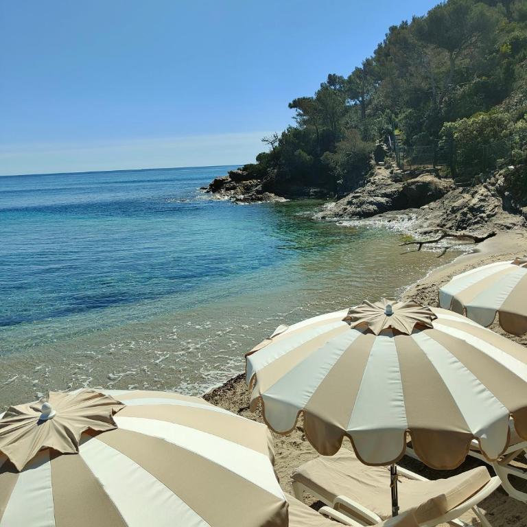 le Lavandou Pramousquier Un coin de paradis 3 étoiles,entre mer et forêt - One-Bedroom Apartment - 1