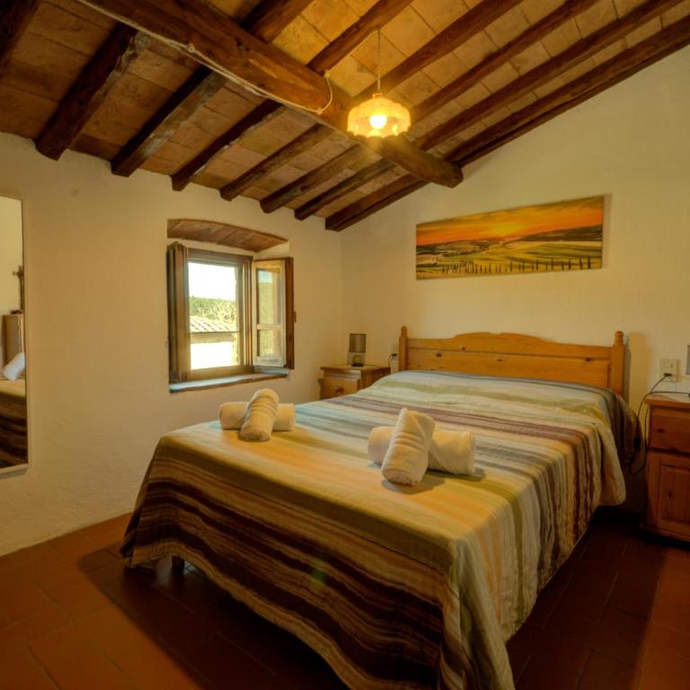 Rondine appartamento confortevole con piscina tennis wifi e giardino - Appartamento con 1 Camera da Letto - 9