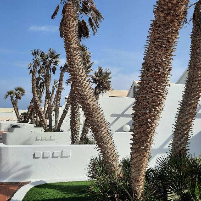 Casas Lapa - Apartamento de 2 dormitorios con vistas a la piscina - 10
