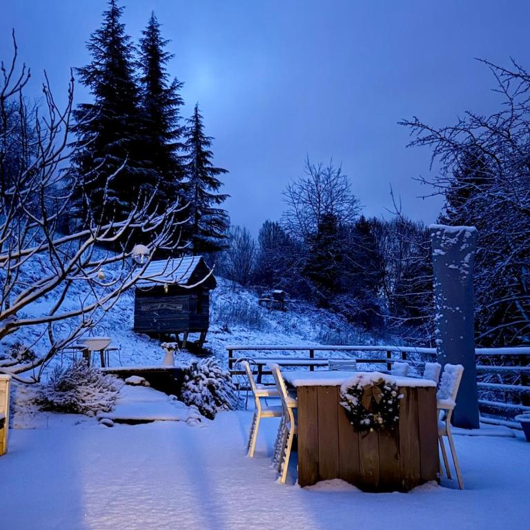 Typical and lovely house in a forest - Maison 2 Chambres - 39