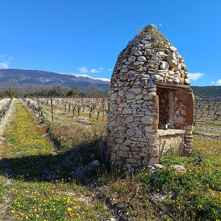 Maison de Vacances Au Pied du Mont Ventoux - Maison 3 Chambres - 10