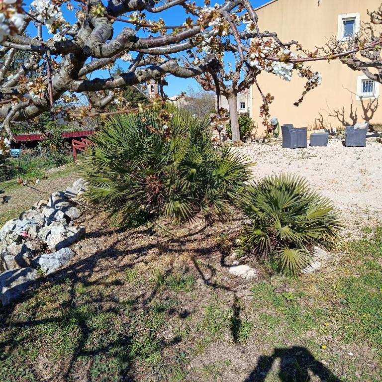 Maison de Vacances Au Pied du Mont Ventoux - Maison 3 Chambres - 28