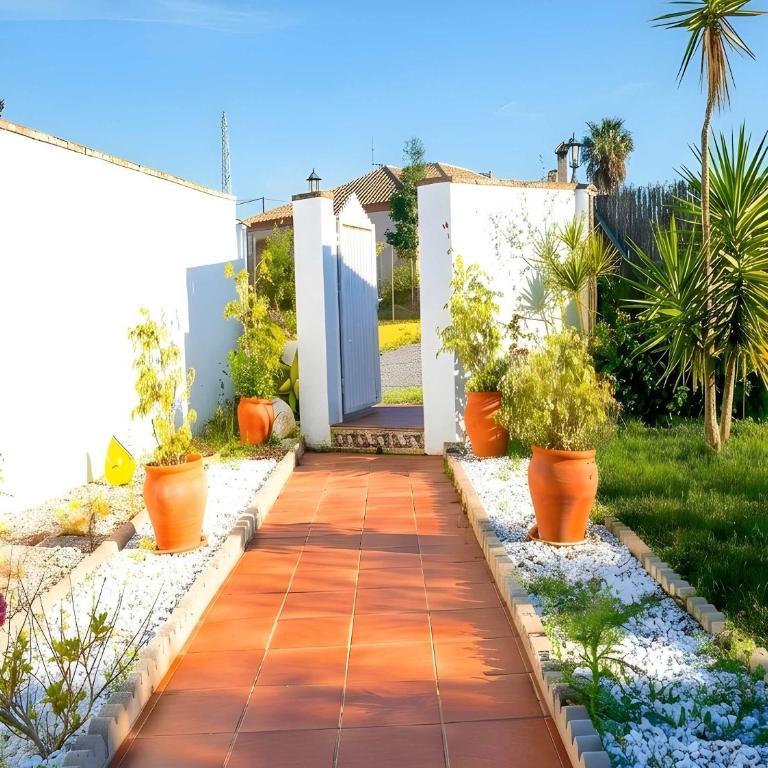 Chalet con Piscina Privada Vallada Terraza y Barbacoan Conil - Casa - 3