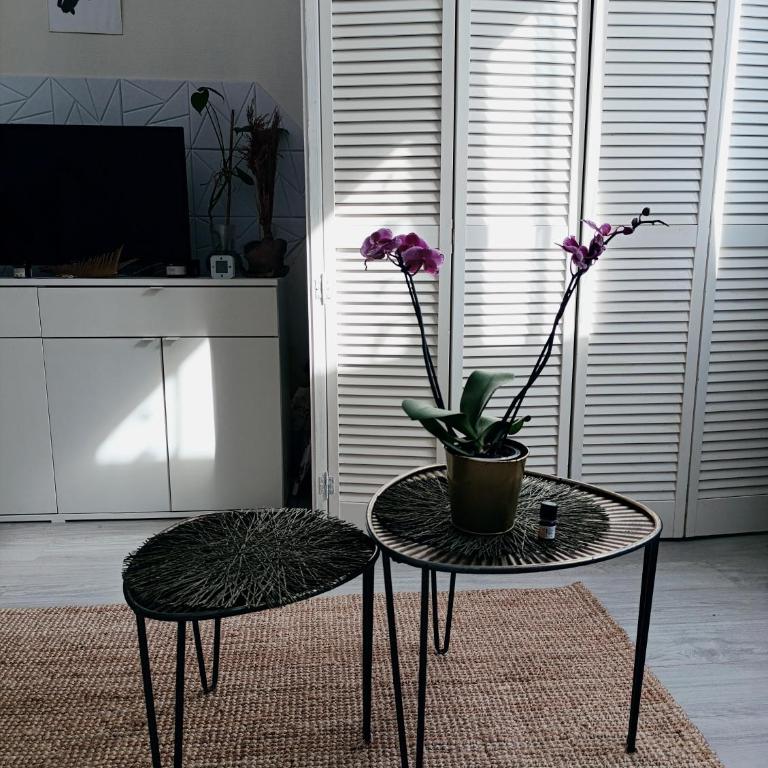 Doux cocoon moderne à quelques marches de Montmartre - Appartement 1 Chambre - 3