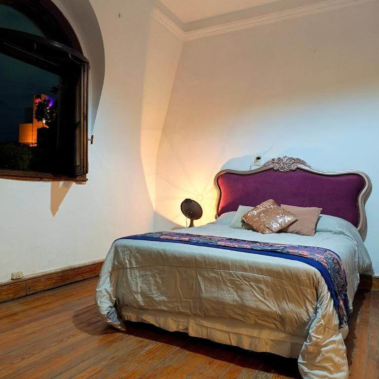Peatonal y San Martín Galeria Historica Departamento - Apartamento de 3 dormitorios - 29