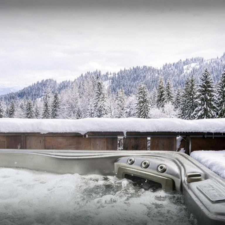 Chalet K1027 - OVO Network - Chalet - 43