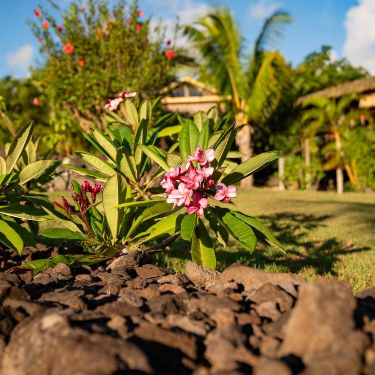 Kona Koa Lodge - Bungalow with Sea View - 1