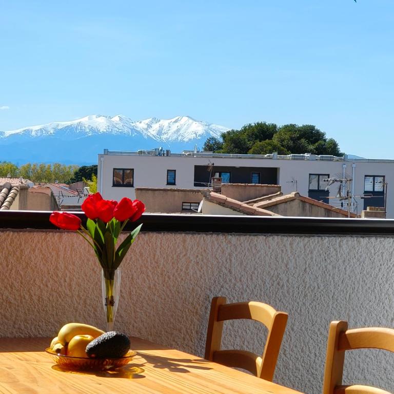 Appartement cosy proche port, plages et montagnes. - Appartement 1 Chambre - 1