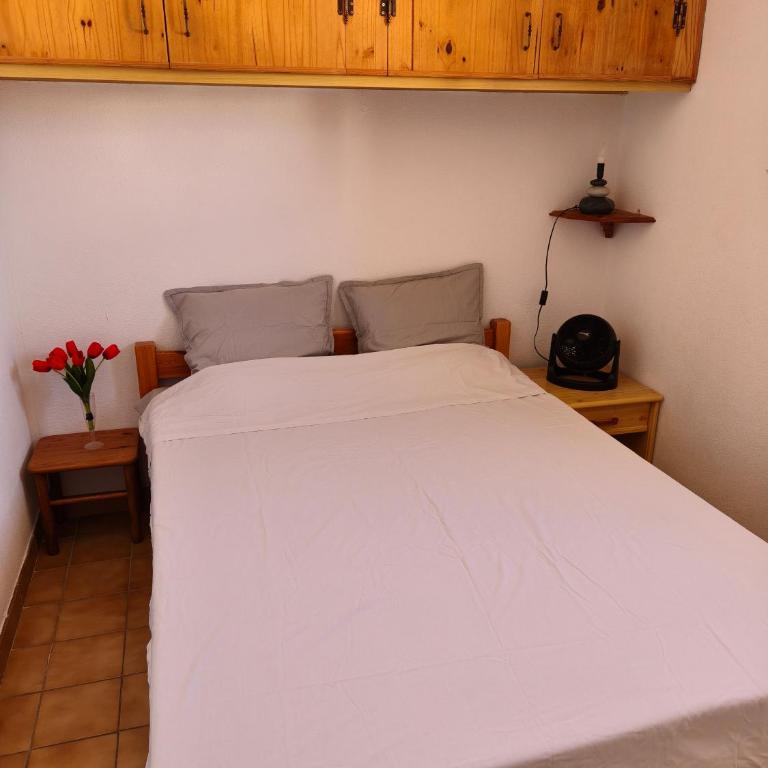 Appartement cosy proche port, plages et montagnes. - Appartement 1 Chambre - 7