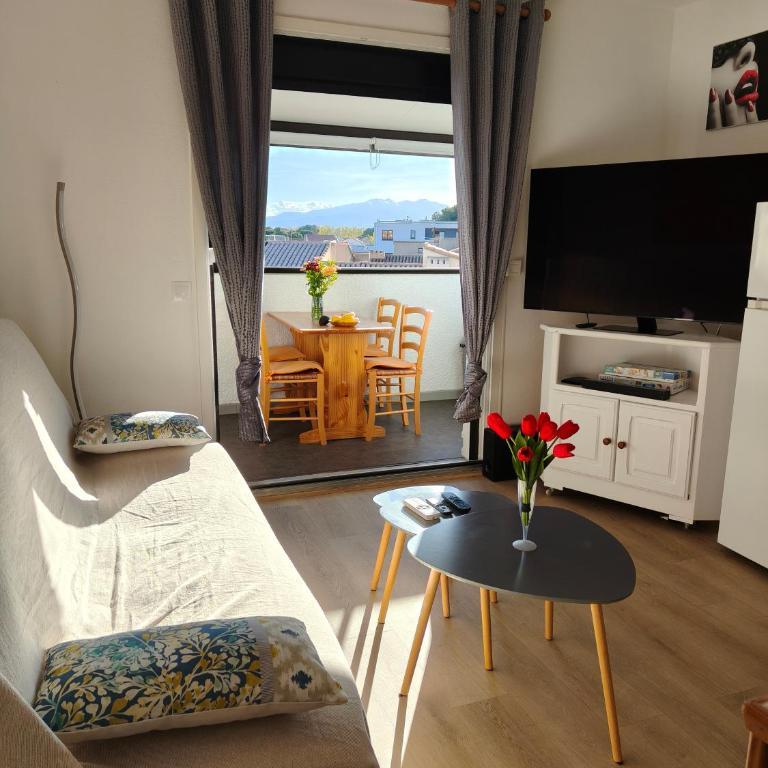 Appartement cosy proche port, plages et montagnes. - Appartement 1 Chambre - 3