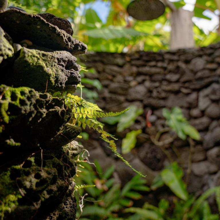 Kona Koa Lodge - Premium Bungalow with Sea View - 3