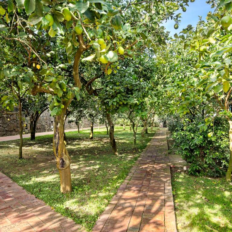 GOCCE VILLAS - Antica Limonaia - Villa con Vista Mare - 14