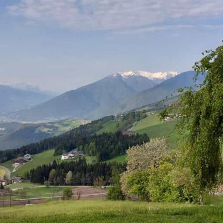 Pitznerhof - Ampio Appartamento con 2 Camere da Letto e Giardino - 7