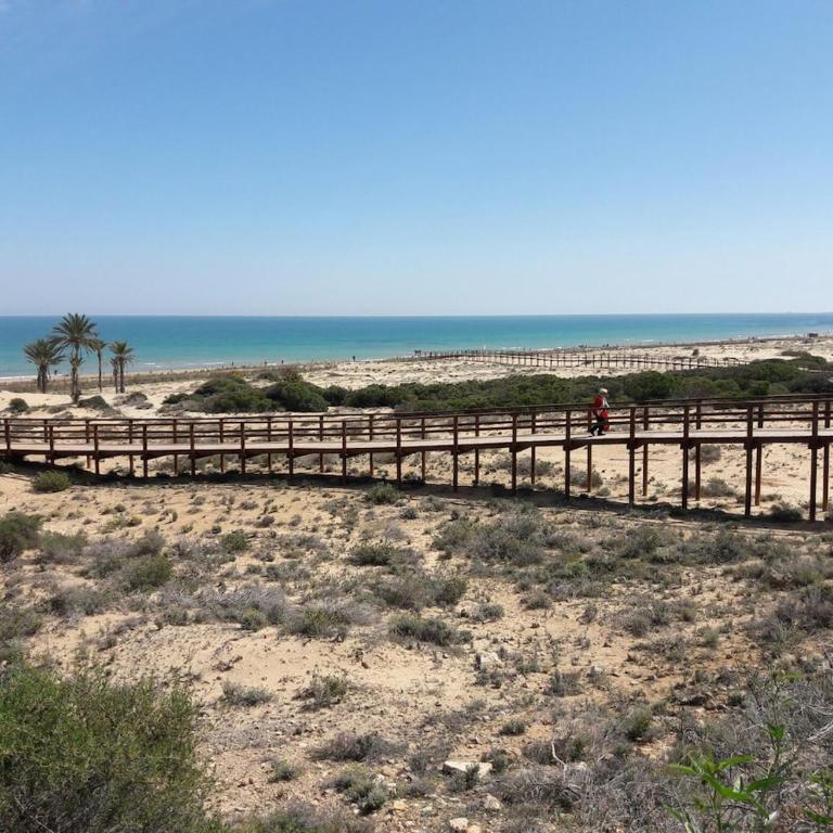 Apartamento a 5 minutos de la playa - Apartamento de 1 dormitorio - 14