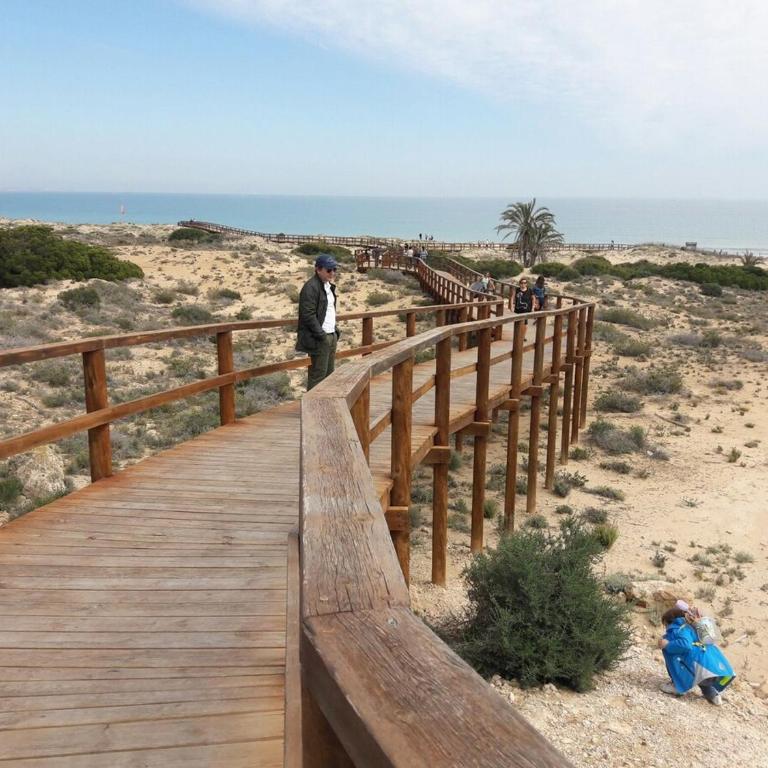Apartamento a 5 minutos de la playa - Apartamento de 1 dormitorio - 15