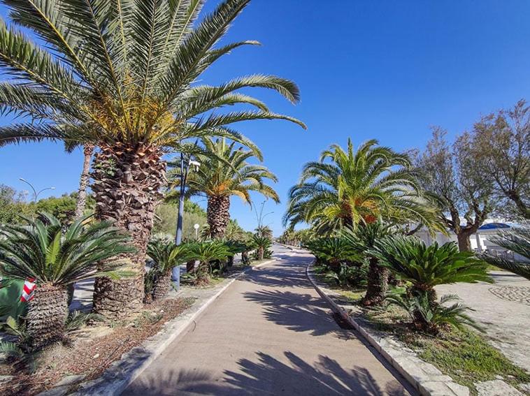 Ampio e centralissimo Trilocale Meri - Two-Bedroom Apartment - 37