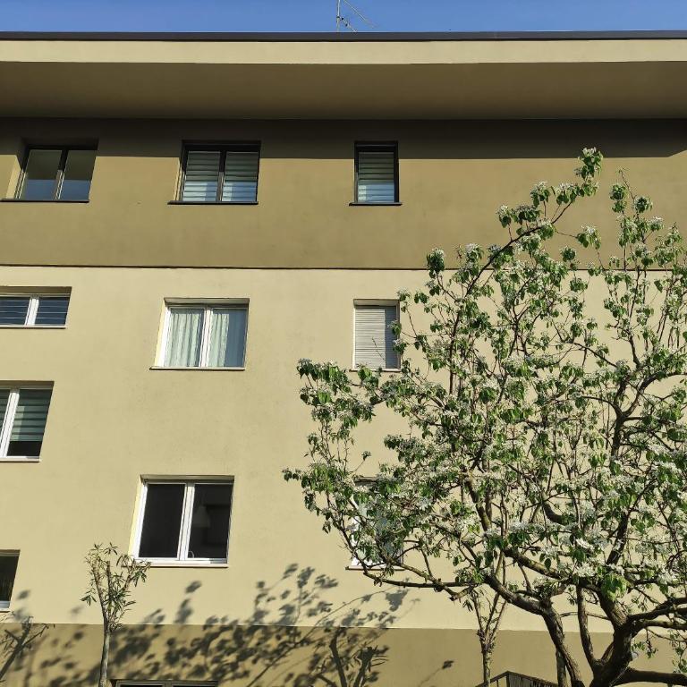 Domus Arco Relax Apartment 2 - Appartamento con 2 Camere da Letto - 11
