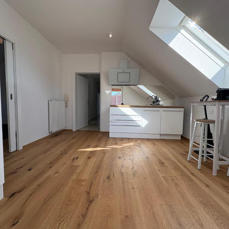 Graz City Penthouse - Apartamento de 1 dormitorio - 2