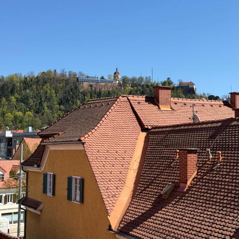 Graz City Penthouse - Apartamento de 1 dormitorio - 1