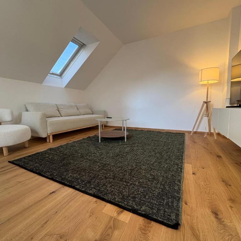Graz City Penthouse - Apartamento de 1 dormitorio - 9