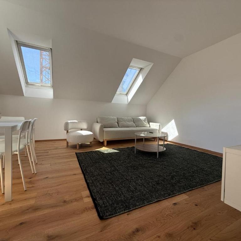 Graz City Penthouse - Apartamento de 1 dormitorio - 15